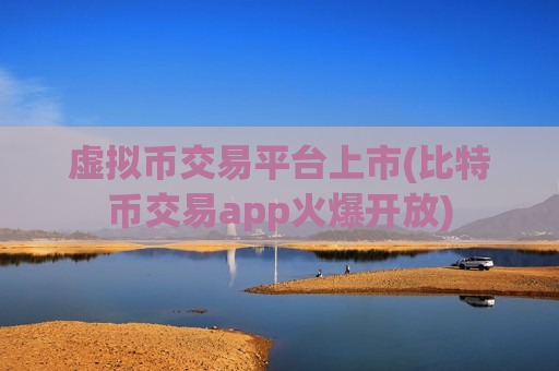 虚拟币交易平台上市(比特币交易app火爆开放)