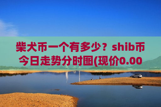 柴犬币一个有多少？shib币今日走势分时图(现价0.00019131元)