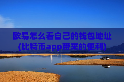欧易怎么看自己的钱包地址(比特币app带来的便利)