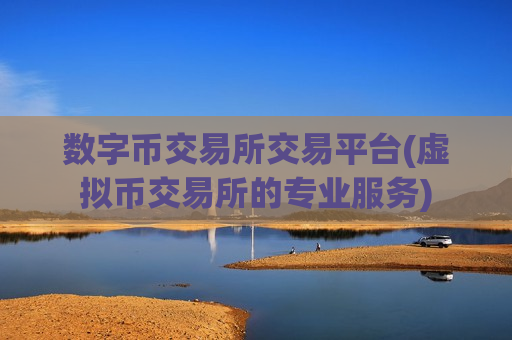 数字币交易所交易平台(虚拟币交易所的专业服务)