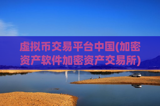 虚拟币交易平台中国(加密资产软件加密资产交易所)