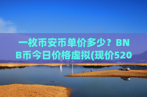 一枚币安币单价多少？BNB币今日价格虚拟(现价5206.59元)