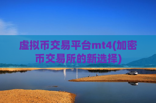 虚拟币交易平台mt4(加密币交易所的新选择)