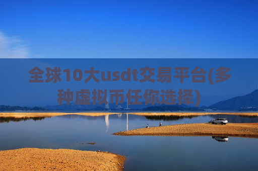 全球10大usdt交易平台(多种虚拟币任你选择)