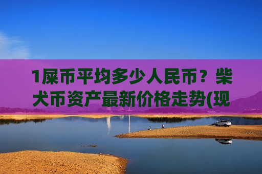 1屎币平均多少人民币？柴犬币资产最新价格走势(现价0.00019066元)