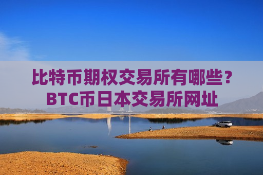 比特币期权交易所有哪些？BTC币日本交易所网址-第1张图片-币圈网