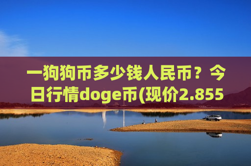 一狗狗币多少钱人民币？今日行情doge币(现价2.8554元)-第1张图片-币圈网