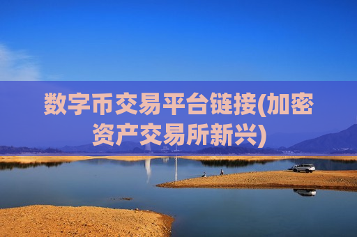 数字币交易平台链接(加密资产交易所新兴)