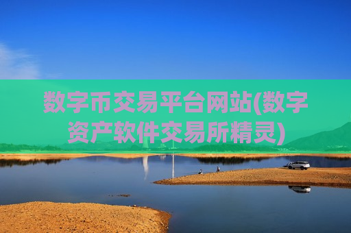 数字币交易平台网站(数字资产软件交易所精灵)