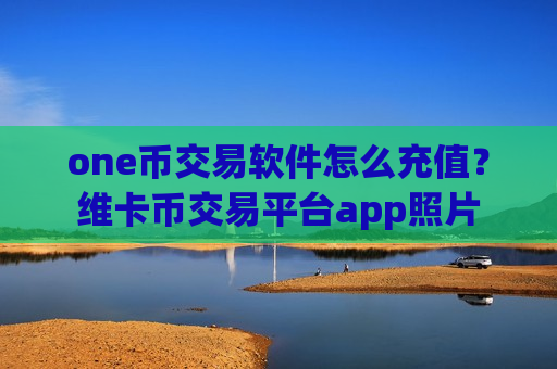 one币交易软件怎么充值？维卡币交易平台app照片