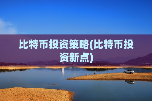 比特币投资策略(比特币投资新点)