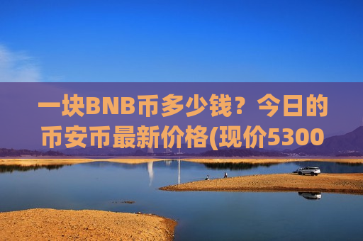 一块BNB币多少钱？今日的币安币最新价格(现价5300.42元)