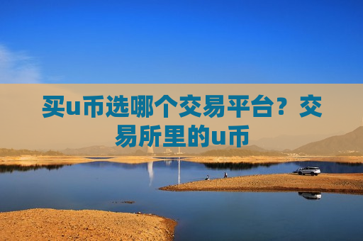 买u币选哪个交易平台？交易所里的u币