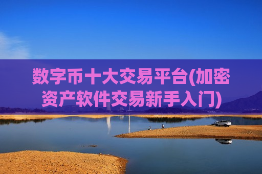 数字币十大交易平台(加密资产软件交易新手入门)