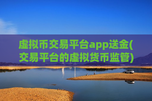 虚拟币交易平台app送金(交易平台的虚拟货币监管)