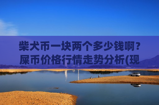 柴犬币一块两个多少钱啊？屎币价格行情走势分析(现价0.00019825元)