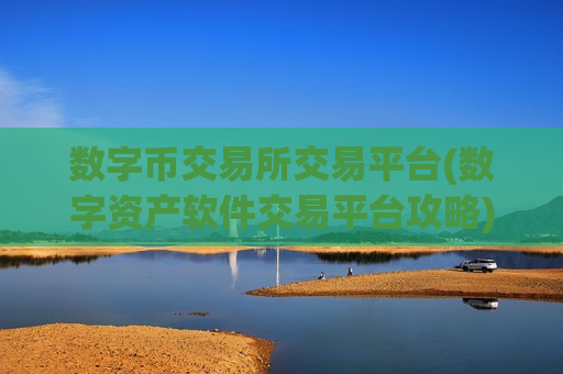 数字币交易所交易平台(数字资产软件交易平台攻略)