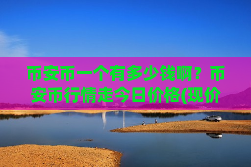 币安币一个有多少钱啊？币安币行情走今日价格(现价5298.89元)