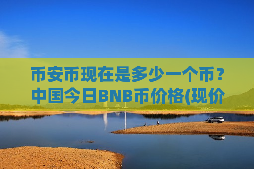 币安币现在是多少一个币？中国今日BNB币价格(现价5300.79元)