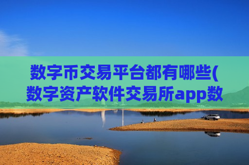 数字币交易平台都有哪些(数字资产软件交易所app数字资产)