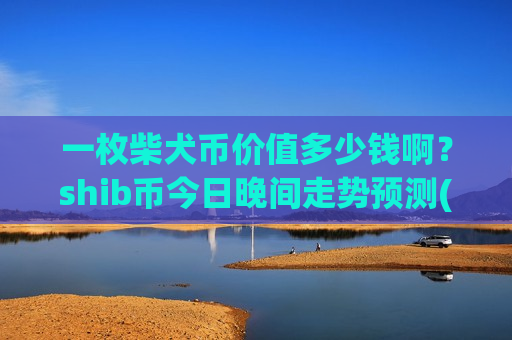 一枚柴犬币价值多少钱啊？shib币今日晚间走势预测(现价0.00019798元)