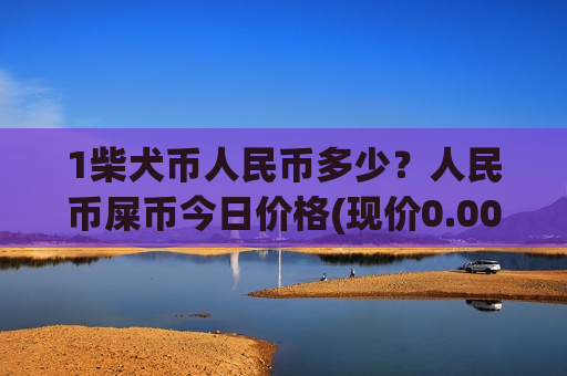 1柴犬币人民币多少？人民币屎币今日价格(现价0.00019029元)