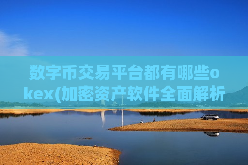 数字币交易平台都有哪些okex(加密资产软件全面解析)