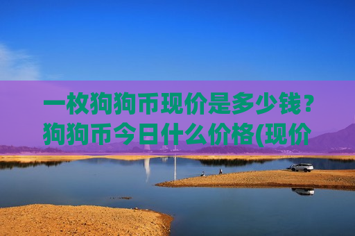 一枚狗狗币现价是多少钱？狗狗币今日什么价格(现价2.8505元)