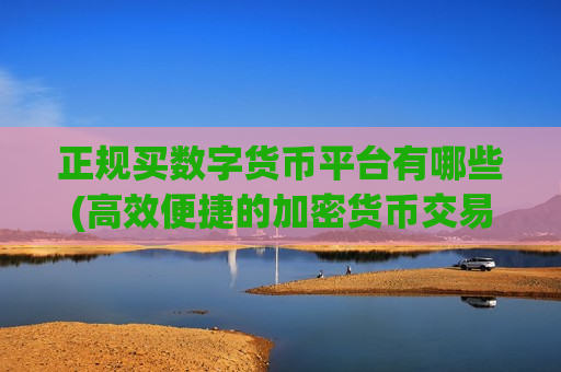 正规买数字货币平台有哪些(高效便捷的加密货币交易)