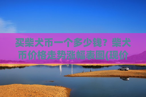 买柴犬币一个多少钱？柴犬币价格走势涨幅表图(现价0.00018941元)