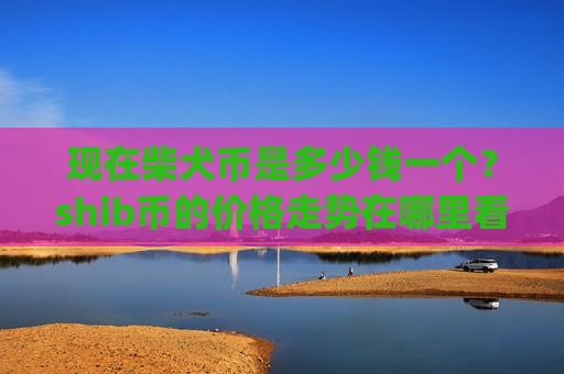现在柴犬币是多少钱一个？shib币的价格走势在哪里看的(现价0.00018937元)-第1张图片-币圈网