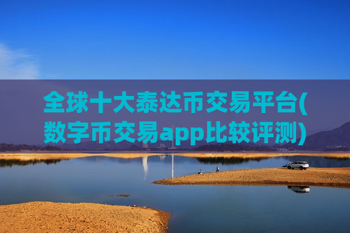 全球十大泰达币交易平台(数字币交易app比较评测)