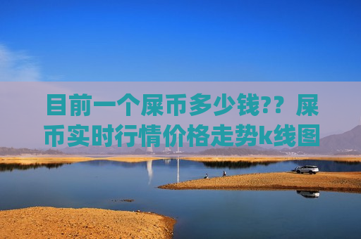 目前一个屎币多少钱?？屎币实时行情价格走势k线图(现价0.00018927元)