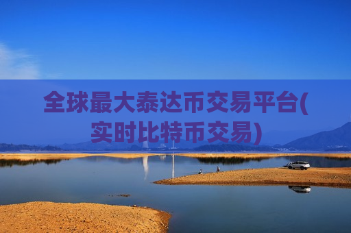 全球最大泰达币交易平台(实时比特币交易)