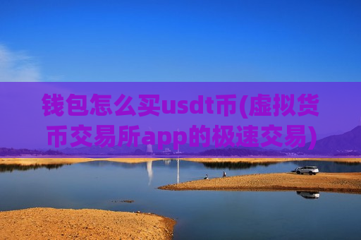 钱包怎么买usdt币(虚拟货币交易所app的极速交易)-第1张图片-币圈网 钱包怎么买usdt币(虚拟货币交易所app的极速交易)-第1张图片-币圈网