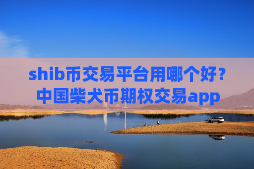 shib币交易平台用哪个好？中国柴犬币期权交易app