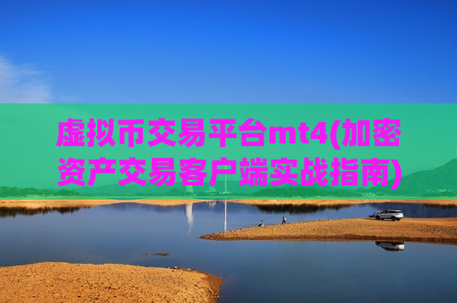 虚拟币交易平台mt4(加密资产交易客户端实战指南)