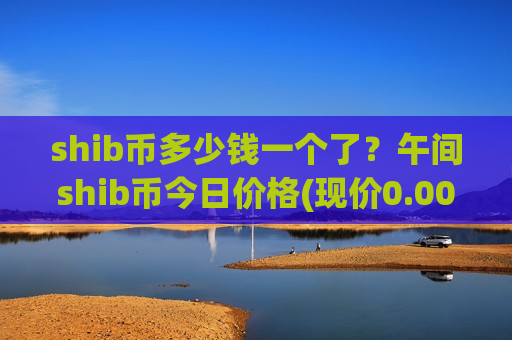 shib币多少钱一个了？午间shib币今日价格(现价0.00018905元)