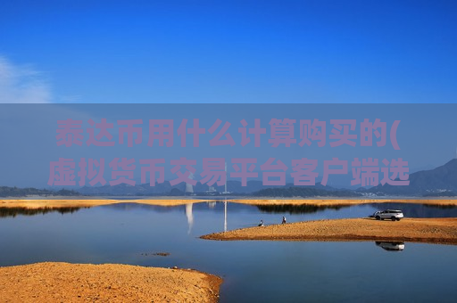 泰达币用什么计算购买的(虚拟货币交易平台客户端选择)