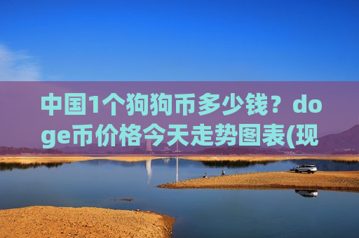 中国1个狗狗币多少钱？doge币价格今天走势图表(现价2.9027元)