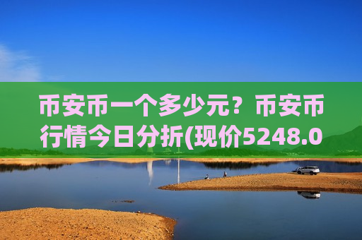 币安币一个多少元？币安币行情今日分折(现价5248.05元)