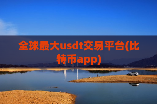 全球最大usdt交易平台(比特币app)