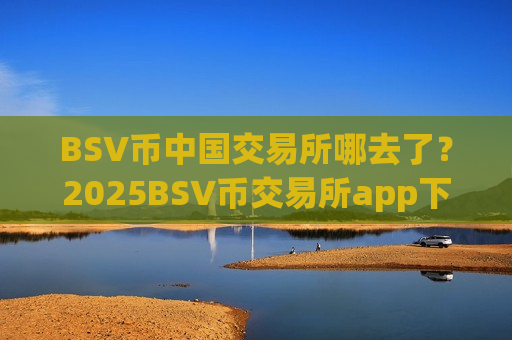 BSV币中国交易所哪去了？2025BSV币交易所app下载排名