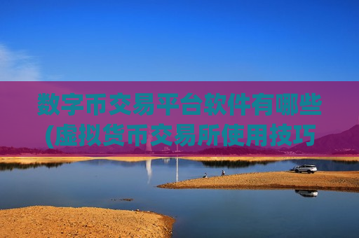 数字币交易平台软件有哪些(虚拟货币交易所使用技巧)