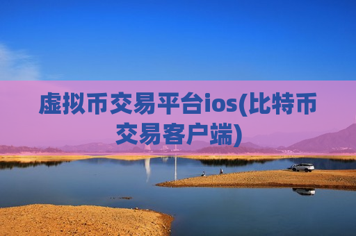 虚拟币交易平台ios(比特币交易客户端)