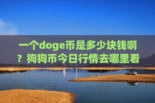 一个doge币是多少块钱啊？狗狗币今日行情去哪里看(现价2.8987元)