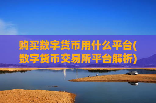 购买数字货币用什么平台(数字货币交易所平台解析)-第1张图片-币圈网 购买数字货币用什么平台(数字货币交易所平台解析)-第1张图片-币圈网