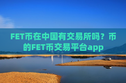 FET币在中国有交易所吗？币的FET币交易平台app