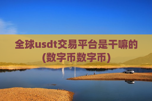 全球usdt交易平台是干嘛的(数字币数字币)