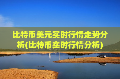 比特币美元实时行情走势分析(比特币实时行情分析)